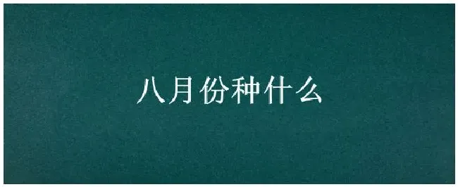 八月份种什么 | 农业答疑