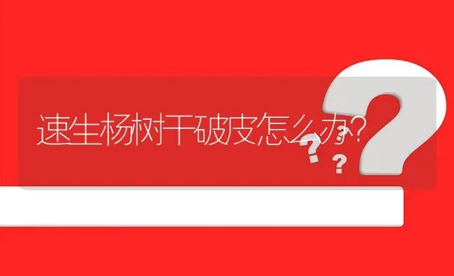 速生杨树干破皮怎么办? | 养殖问题解答