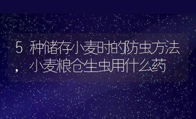 伊芙婚礼之路月季优缺点,伊芙婚礼之路月季优缺点 | 养殖常见问题