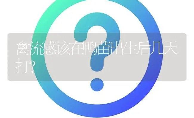 禽流感该在鸭苗出生后几天打? | 养殖问题解答