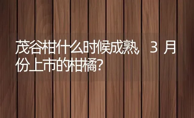茂谷柑什么时候成熟,3月份上市的柑橘？ | 养殖常见问题