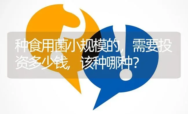 种食用菌小规模的,需要投资多少钱,该种哪种? | 养殖问题解答