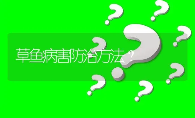 草鱼病害防治方法? | 养殖问题解答