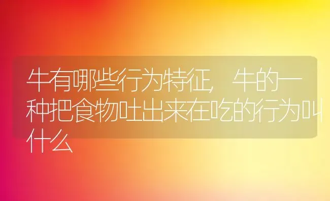 牛有哪些行为特征,牛的一种把食物吐出来在吃的行为叫什么 | 养殖常见问题