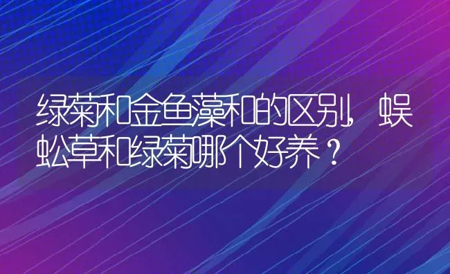 绿菊和金鱼藻和的区别,蜈蚣草和绿菊哪个好养？ | 养殖常见问题