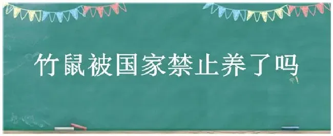 竹鼠被国家禁止养了吗 | 生活常识