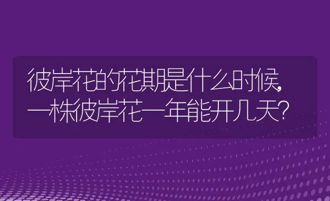 彼岸花的花期是什么时候,一株彼岸花一年能开几天？ | 养殖常见问题