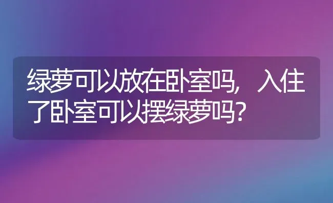 绿萝可以放在卧室吗,入住了卧室可以摆绿萝吗？ | 养殖常见问题