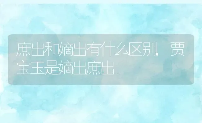 庶出和嫡出有什么区别,贾宝玉是嫡出庶出 | 养殖常见问题