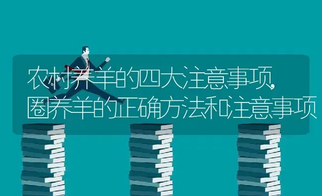 农村养羊的四大注意事项,圈养羊的正确方法和注意事项 | 养殖常见问题