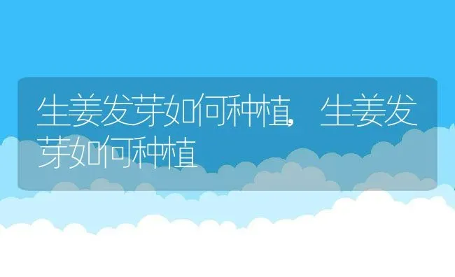生姜发芽如何种植,生姜发芽如何种植 | 养殖常见问题