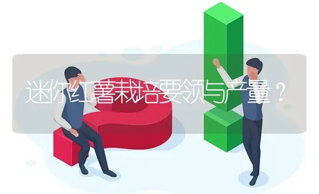 迷你红薯栽培要领与产量? | 养殖问题解答