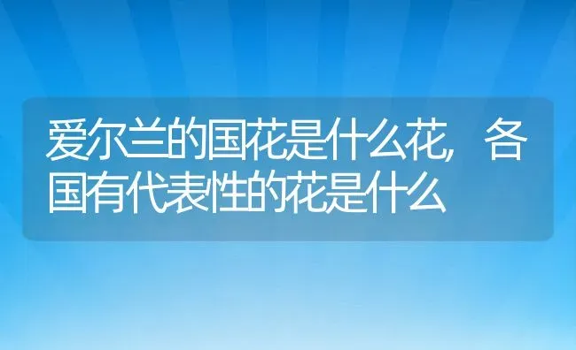 爱尔兰的国花是什么花,各国有代表性的花是什么 | 养殖常见问题