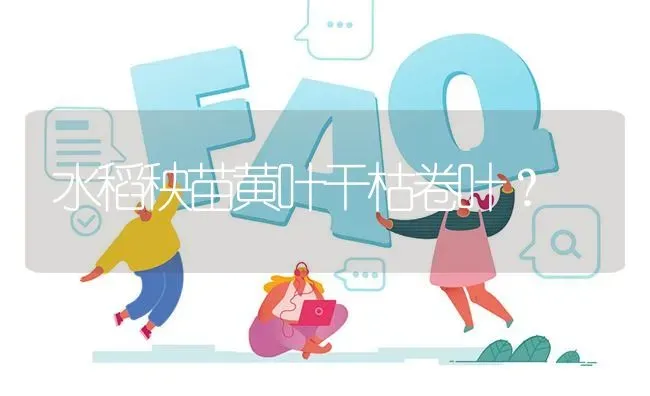 水稻秧苗黄叶干枯卷叶? | 养殖问题解答