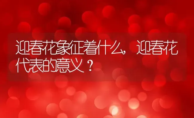 迎春花象征着什么,迎春花代表的意义？ | 养殖常见问题