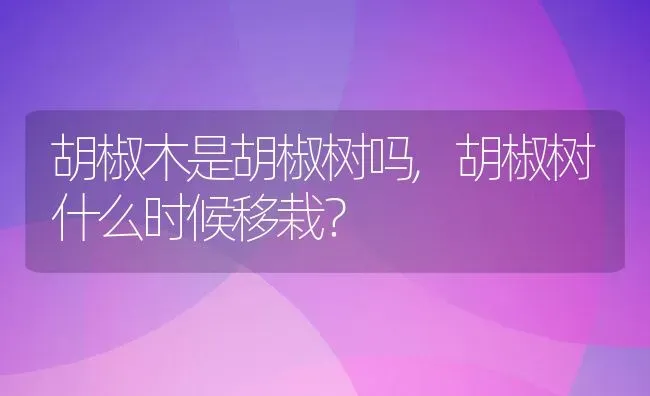 胡椒木是胡椒树吗,胡椒树什么时候移栽？ | 养殖常见问题