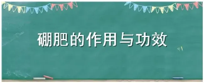 硼肥的作用与功效 | 三农答疑