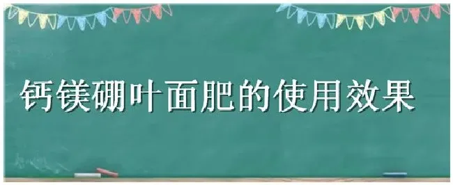 钙镁硼叶面肥的使用效果 | 三农问答