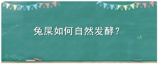 兔屎如何自然发酵 | 科普知识