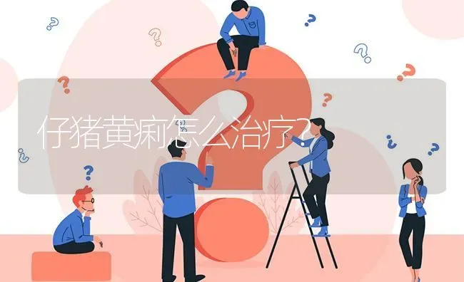 仔猪黄痢怎么治疗? | 养殖问题解答