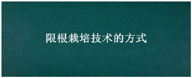 限根栽培技术的方式 | 农业问题