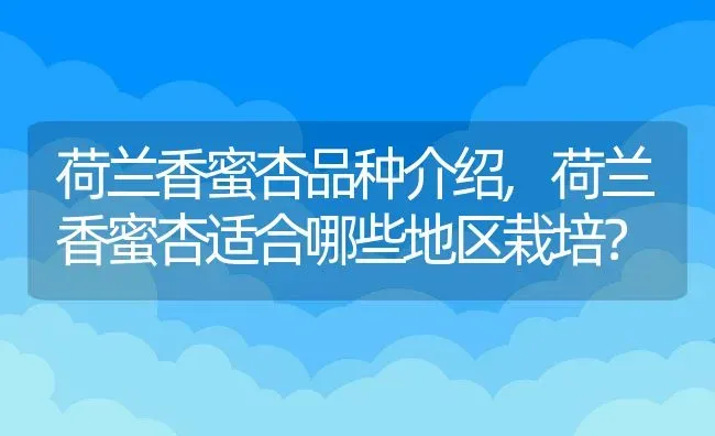 荷兰香蜜杏品种介绍,荷兰香蜜杏适合哪些地区栽培？ | 养殖常见问题