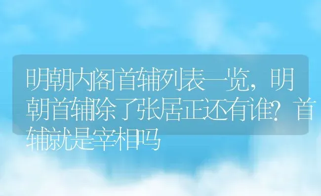 明朝内阁首辅列表一览,明朝首辅除了张居正还有谁？首辅就是宰相吗 | 养殖常见问题