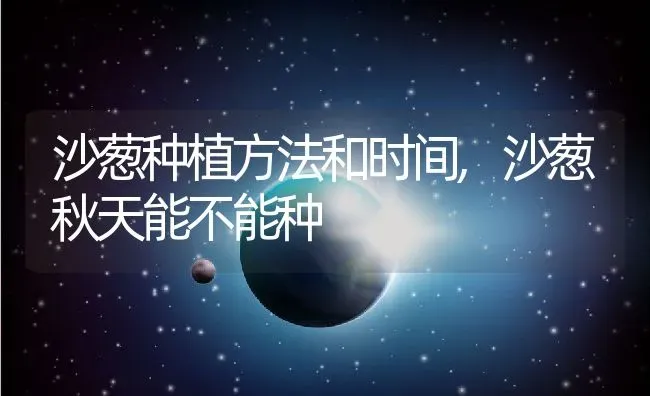 沙葱种植方法和时间,沙葱秋天能不能种 | 养殖常见问题