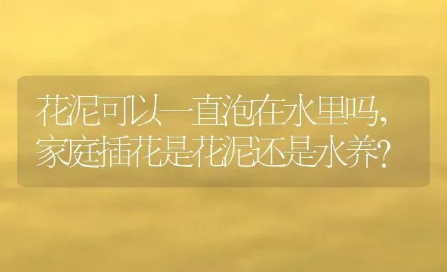 花泥可以一直泡在水里吗,家庭插花是花泥还是水养？ | 养殖常见问题