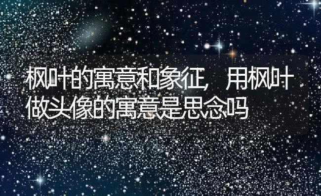 枫叶的寓意和象征,用枫叶做头像的寓意是思念吗 | 养殖常见问题