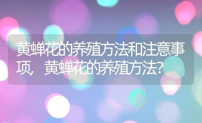 黄蝉花的养殖方法和注意事项,黄蝉花的养殖方法？ | 养殖常见问题