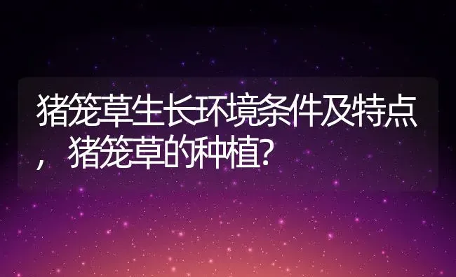 猪笼草生长环境条件及特点,猪笼草的种植？ | 养殖常见问题