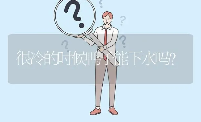 很冷的时候鸭子能下水吗? | 养殖问题解答