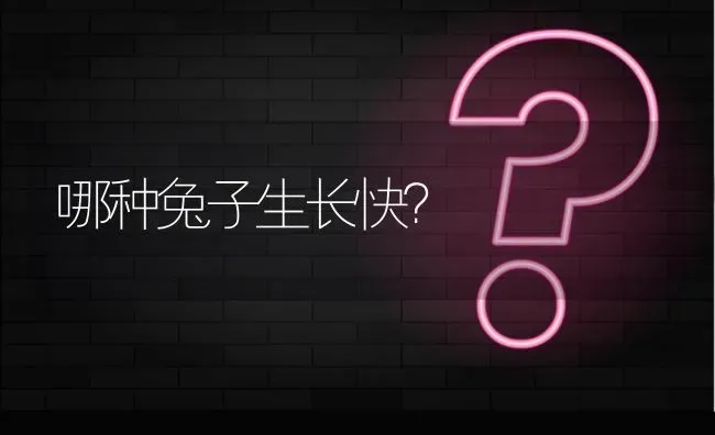 哪种兔子生长快? | 养殖问题解答