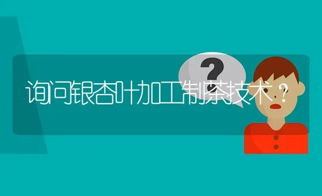 询问银杏叶加工制茶技术? | 养殖问题解答