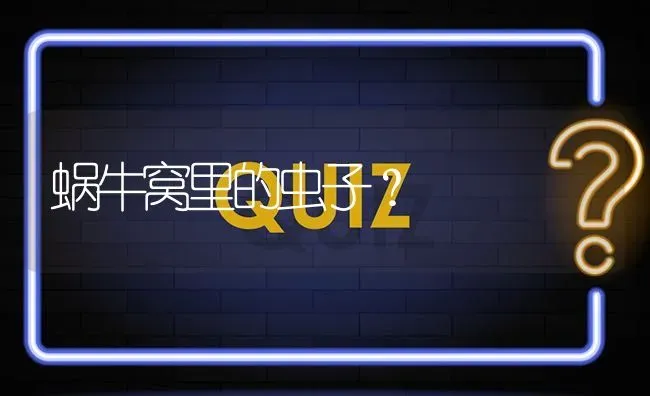 蜗牛窝里的虫子? | 养殖问题解答