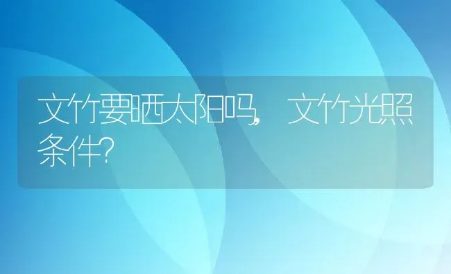 文竹要晒太阳吗,文竹光照条件？ | 养殖常见问题