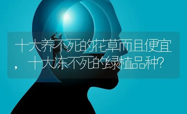 十大养不死的花草而且便宜,十大冻不死的绿植品种？ | 养殖常见问题