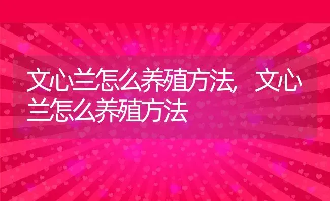 文心兰怎么养殖方法,文心兰怎么养殖方法 | 养殖常见问题