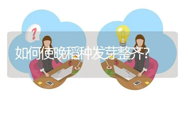 如何使晚稻种发芽整齐? | 养殖问题解答