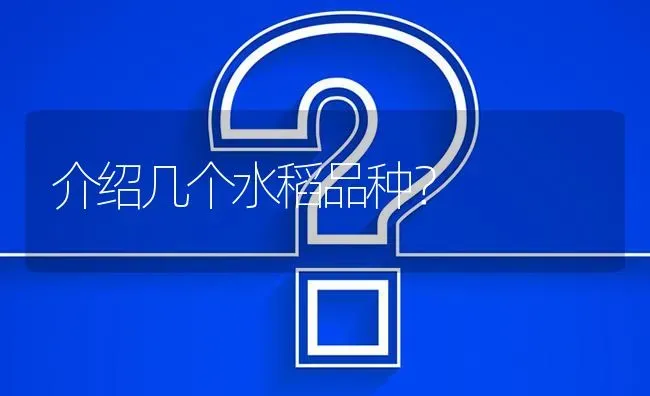 介绍几个水稻品种? | 养殖问题解答