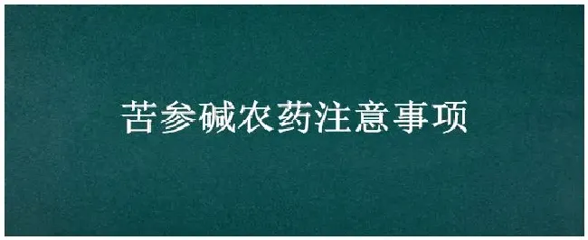 苦参碱农药注意事项 | 农业常识