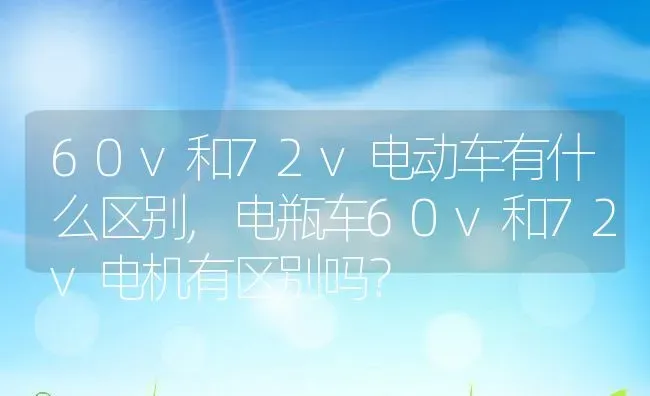 60v和72v电动车有什么区别,电瓶车60v和72v电机有区别吗？ | 养殖常见问题