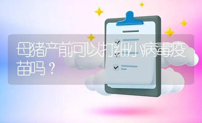 母猪产前可以打细小病毒疫苗吗? | 养殖问题解答