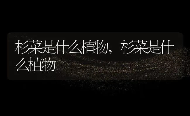 杉菜是什么植物,杉菜是什么植物 | 养殖常见问题