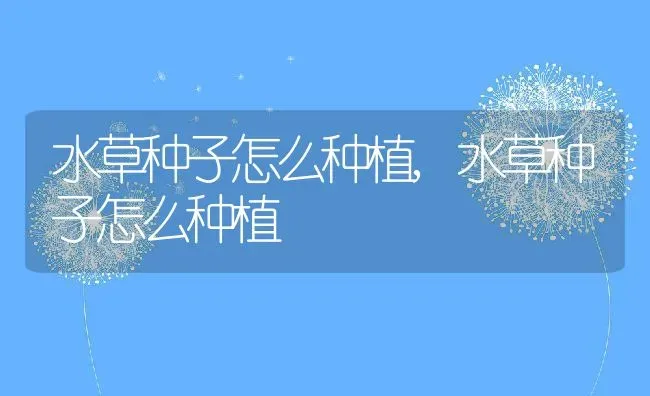 多肉花月夜怎么养爆盆,月夜多肉的养殖方法？ | 养殖常见问题