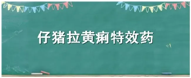 仔猪拉黄痢特效药 | 农业问题