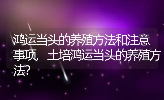 鸿运当头的养殖方法和注意事项,土培鸿运当头的养殖方法？ | 养殖常见问题