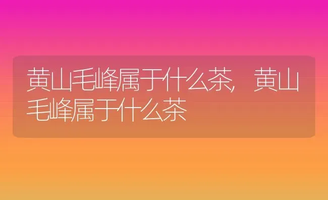 陈桥兵变与宋朝的建立解释,赵匡胤陈桥兵变全过程？ | 养殖常见问题