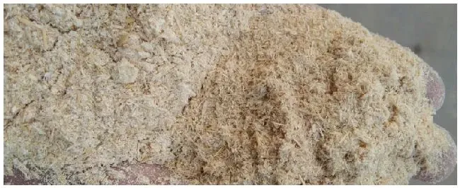 次粉在饲料中的作用 | 科普知识